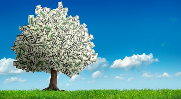 Money-On-Trees