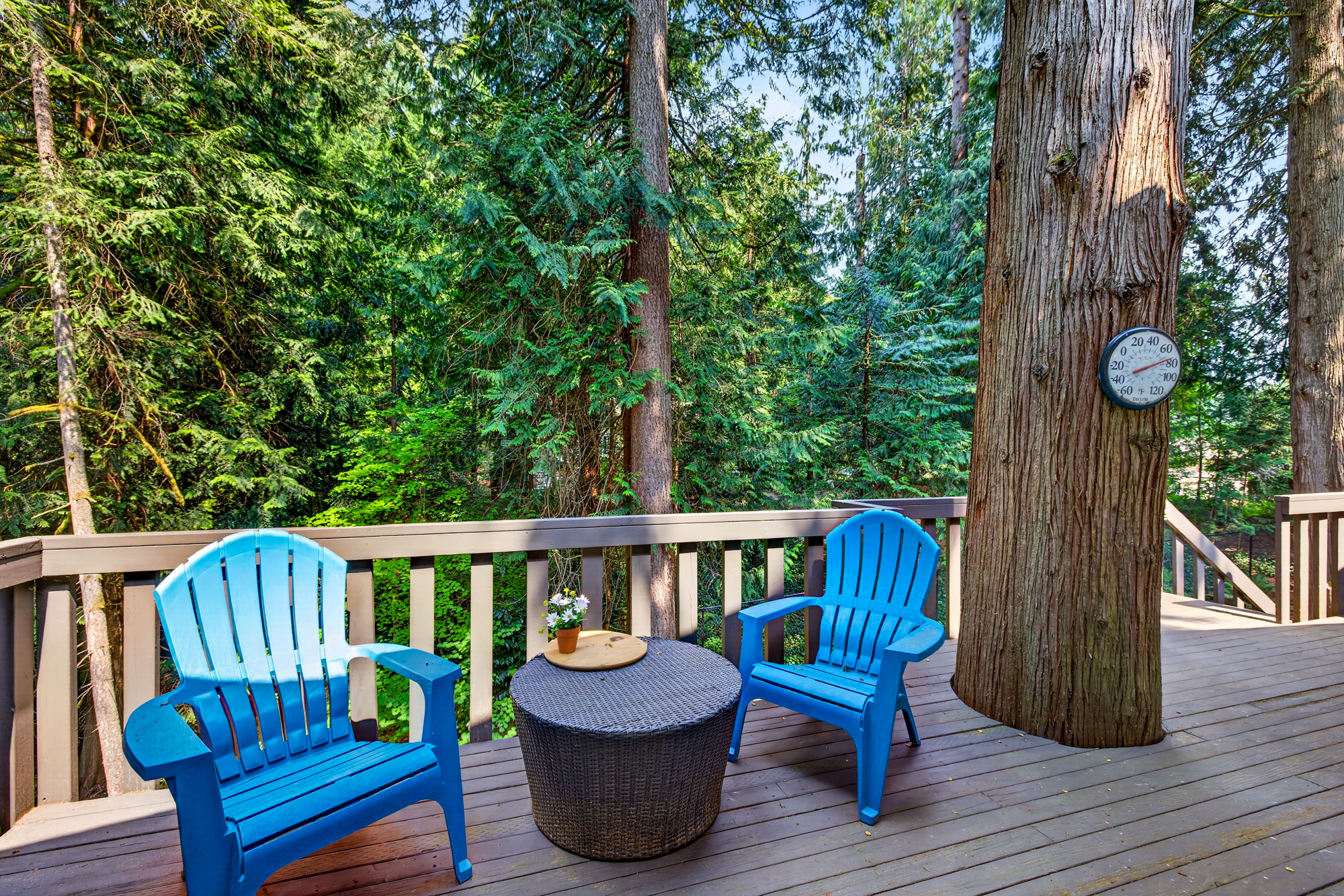 Updated 3 Bedroom Plus Office/Den with MIL Space on 0.84 Private Acres in Woodinville